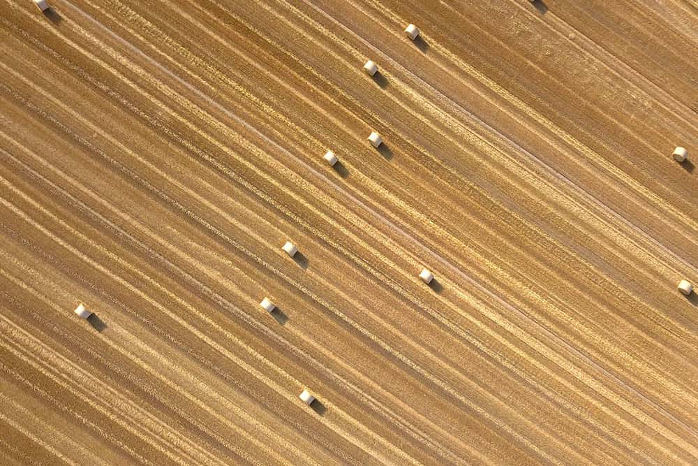 Fotografie Tipps für Anfänger Teil 7