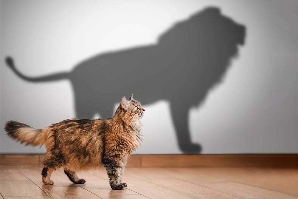 Fotografie Tipps für Anfänger Teil 7