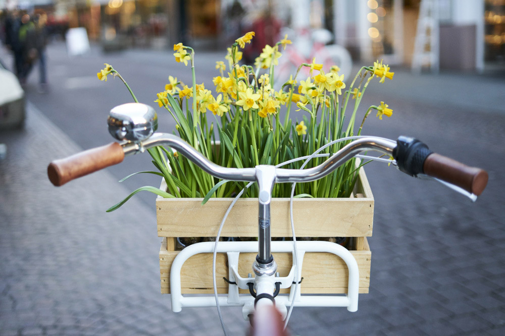 blumenkasten fahrrad