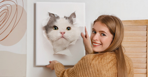Deine Wand als Catwalk – mit einem Bild mit Katze!
