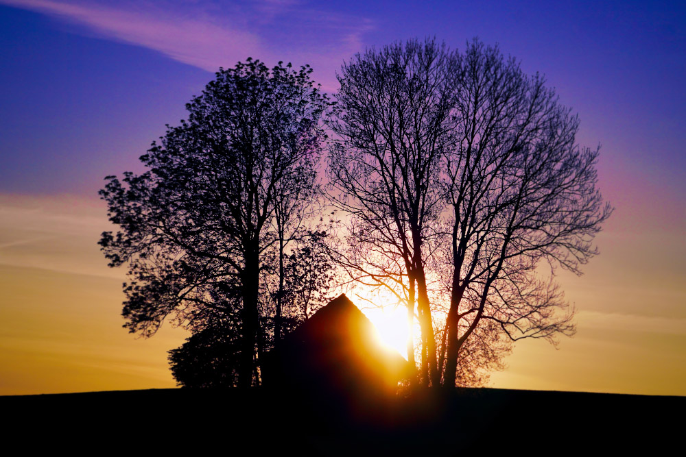 silhouette haus baum sonnenuntergang