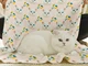 pet pattern cat 2 thumbnail